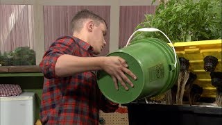 Changing Hydroponics Nutrient Solution [upl. by Adolfo126]