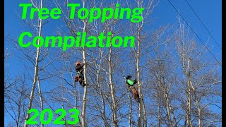 2023 Tree Topping Compilation [upl. by Atsylac]