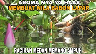 Campuran Lumut Dari MEDAN memang AMPUH untuk Mancing Nila Liar [upl. by Nelyahs]