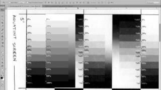 Making Adjustment Curves for photogravures polymer [upl. by Tiemroth]