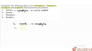 Categorise the following plants into hydrophytes halophytes mesophytes and xerophytes [upl. by Wall]