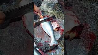 Traditional Bangladeshi Fangas fish excellent cutting shorts fishcutting [upl. by Eimmis]