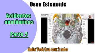 Osso Esfenoide  Aula Teórica 5  Anatomia  Anatomia Humana [upl. by Elum]