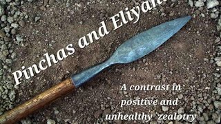 The Zealotry of Pinchas and Eliyahu [upl. by Ailedo]