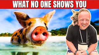 Is Swimming with Pigs at CocoCay REALLY Worth It actual footage 🐷 [upl. by Nylevol]