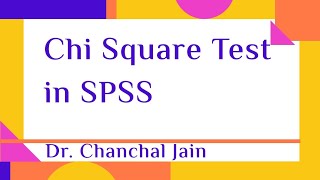 Chi Square Test in SPSS [upl. by Masry]