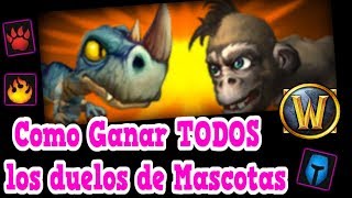 Como Ganar TODOS los Duelos de Mascotas ● World of Warcraft [upl. by Winfield748]