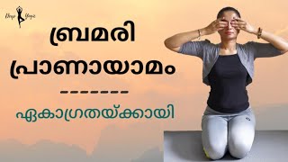 Bhramari Pranayama ബ്രമാറി പ്രാണായാമം Pranayama Malayalam For Beginners [upl. by Gresham40]