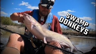 Kayak Fishing PreSpawn Catfish [upl. by Kcirrad763]