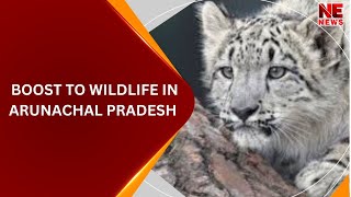 BOOST TO WILDLIFE IN ARUNACHAL PRADESH [upl. by Coke]