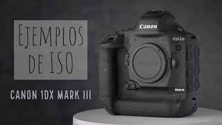 Canon 1DX Mark III  Ejemplos de ISO [upl. by Lrem]