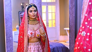 Kundali Bhagya  Hindi TV Serial  Full Episode 1444  Sanjay Gagnani Shakti Shraddha Zee TV [upl. by Kciredohr]