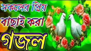 দুয়ারে আইসাছে পালকি  Bangla Song new gojol 2024 নতুন গজল m islamic song notun gojol gojol [upl. by Ordnasil]