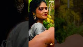 🥰Seramal ponal valamal poven Whatsapp statusLove song tamil short lovesonglyricsbobdb 🌙✨ [upl. by Quartas]