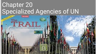 ICSE class 8 civics chapter 20 Specialized Agencies of the UN [upl. by Ocinom]