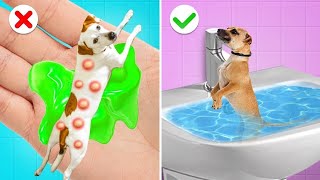 Extreme Pet Rescue in Hospital  Useful Pet Gadgets and Hacks [upl. by Alyakam]