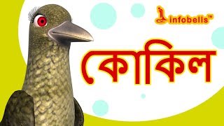 কোকিল গান  Bengali Rhymes for Children  Infobells [upl. by Ateuqirne]