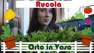 Orto in Vaso La Rucola [upl. by Lance]