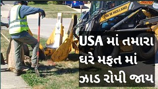 USA માં Tree રોપતા જોયુંindia માં કદાચ આવી રીતે રોપતા હોત તો સારું થાતFree Tree Plantation at Home [upl. by Llerrem509]