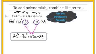 Adding amp Subtracting Polynomials [upl. by Eem511]