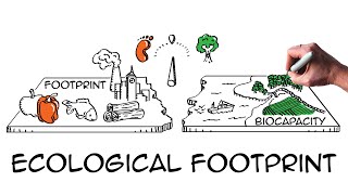 Ecological footprint Do we fit on our planet [upl. by Pascia]