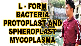 L form bacteria Protoplastspheroplastmycoplasmadifference between L form and mycoplasma [upl. by Nisay]