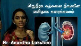 Kidney Stone removal in Tamil  Reflexology  Spicy Kannamma [upl. by Hollie929]