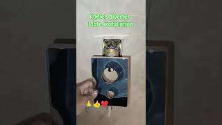 kohler diverter plate installation plumbing fitting installation work youtubeshorts [upl. by Lesna]