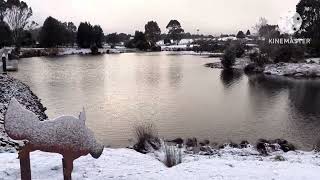 Snow Fall Waratah Tasmania Australia [upl. by Layol]