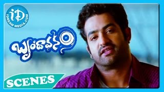 Brindavanam Movie  Prakash Raj Kota Jr N T R Emotional Scene [upl. by Delmore]