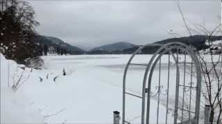 Lake Titisee Travel A trip to Black Forest Germany in the Winter [upl. by Spancake]