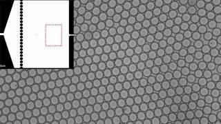 Waterinoil droplet generation in a microfluidic device [upl. by Firooc]