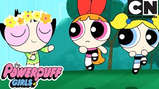 SUMMER COMPILATION  The Powerpuff Girls  Cartoon Network [upl. by Azial]