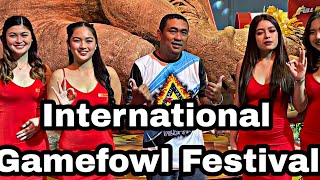 IGF  INTERNATIONAL GAMEFOWL FESTIVAL 2024  Day 3 [upl. by Nwahs223]