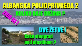 ALBANIJA  poljoprivreda  seljaci  KAKO SU SE RAZVILI ŠTA IM DAJE DRŽAVA  klima je neverovatna [upl. by Herr807]