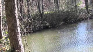 SEVEN LAKES ANGLING PAICES HILL ALDERMASTON BERKSHIRE [upl. by Narra]