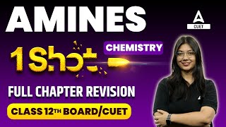 CUET 2024  Amines Class 12 One Shot  Chemistry Chapter 7 [upl. by Erait]