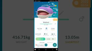 ✨ Shiny Wailmer Family Pokemon Go Wailord pokemon pokemongo pokémongo [upl. by Sirkin]