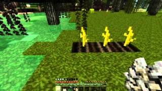 Minecraft Blocks amp Items  Melon [upl. by Agni]