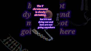 Is the Y Chromosome Really Dying The Science Explained [upl. by Tabina736]