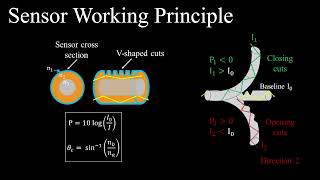 A soft miniaturized continuum robot with 3D shape sensing viafunctionalized soft optical waveguides [upl. by Mendy388]