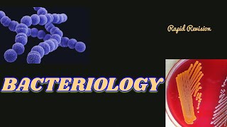 Bacteriology Microbiology  Rapid Revision Oneshot Bacteria neet mbbs study [upl. by Lednyk591]