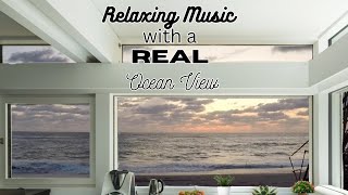 Relaxing Jazz Screensaver Dog Beach at Sunrise Jupiter Florida [upl. by Ogilvy]