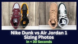 Nike Dunk vs Air Jordan 1 Sizing Comparison Photos in Under 30 Seconds [upl. by Richmound]