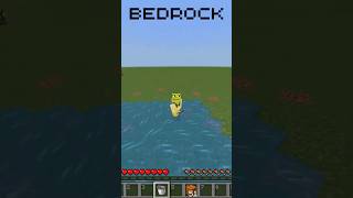 Minecraft Java Player vs Minecraft bedrock Player [upl. by Akiehs305]