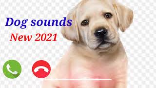 DOG new ringtone sound  New ringtone 2021 [upl. by Noma800]