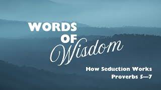 How Seduction Works Proverbs 5 amp 7 [upl. by Latrice]