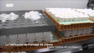 La fabrication du fromage de chèvre [upl. by Rednaeel940]