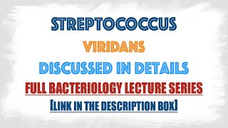 Streptococcus viridans or Viridans Streptococci  clinical manifestationsLab diagnosis [upl. by Trix]