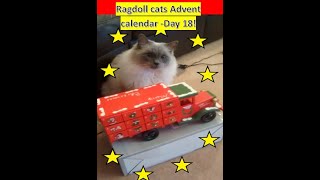 Christmas Advent Calendar Day 18 Living with Ragdolls [upl. by Ennail]